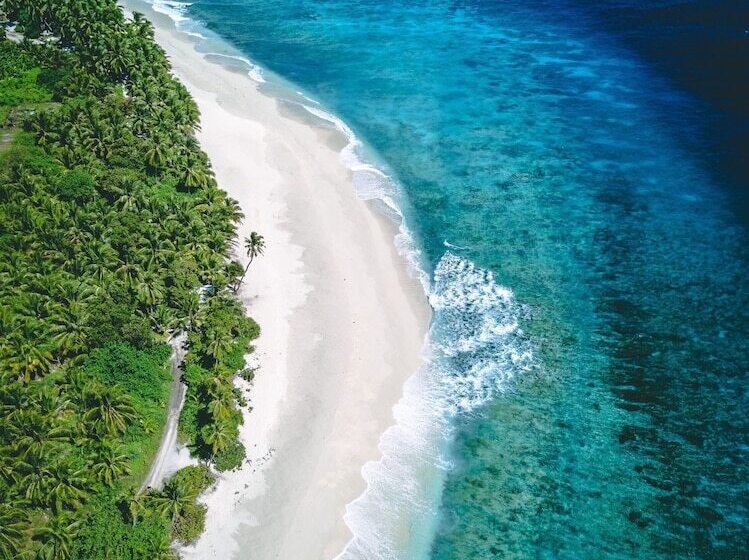 پانسیون Millennium Island Residence