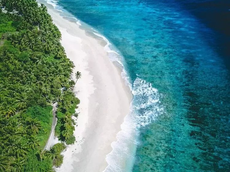 پانسیون Millennium Island Residence