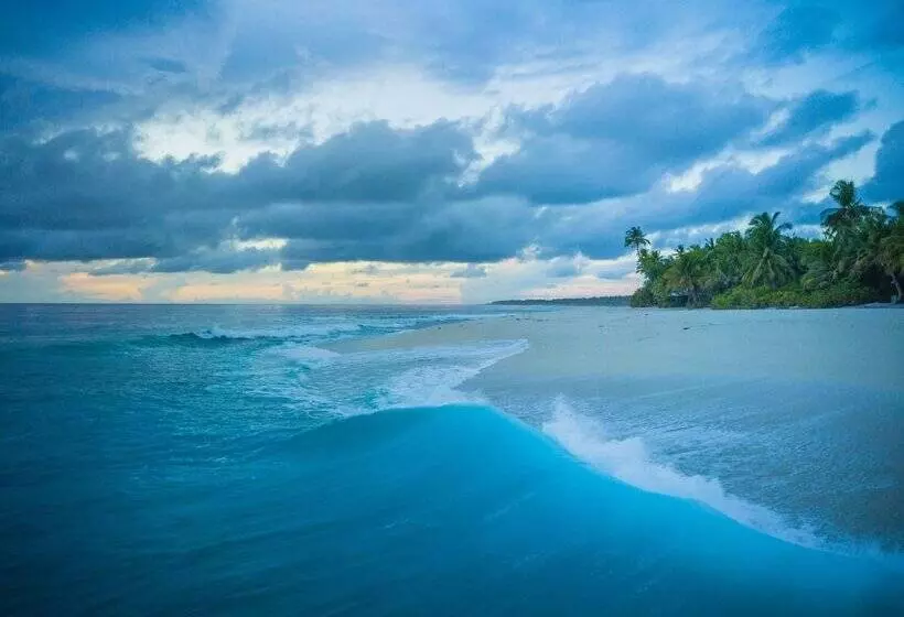 پانسیون Millennium Island Residence