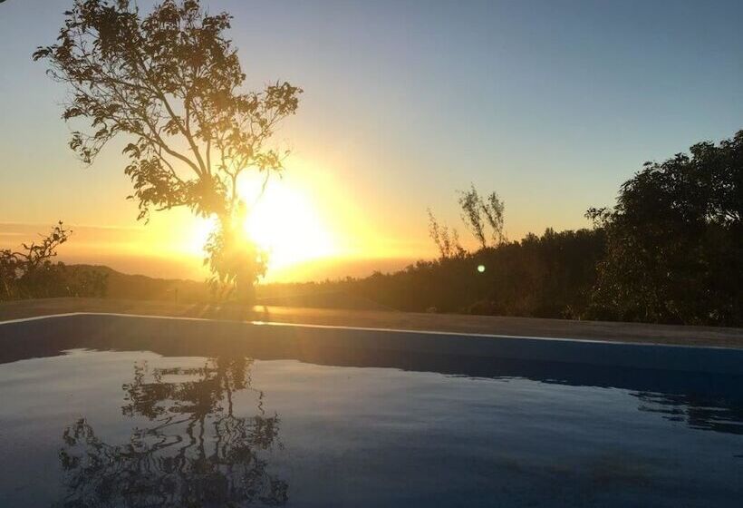 Villa Zourit Rodrigues Bungalow