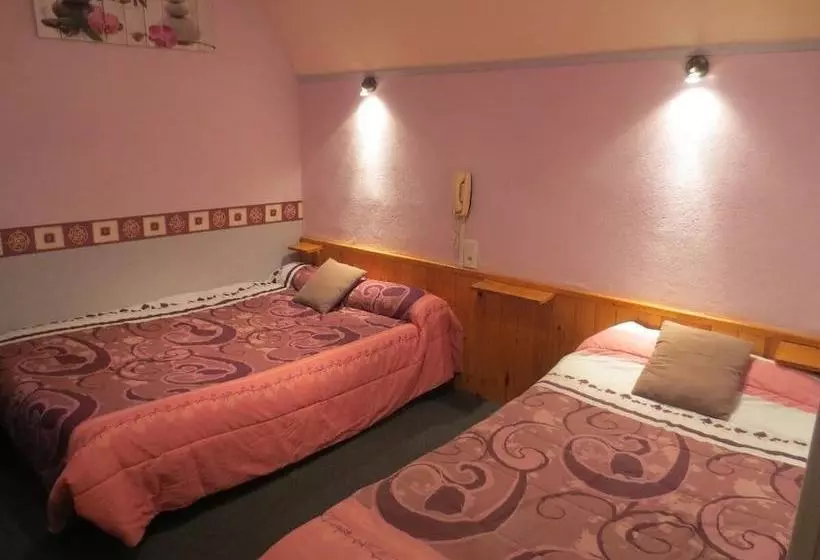 هتل Hôtel Des Deux Cols