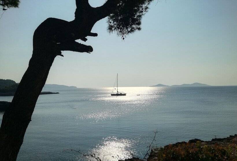 پانسیون Maria Studios