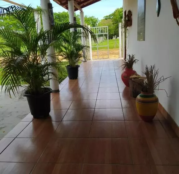 ペンション Pousada águas Da Chapada