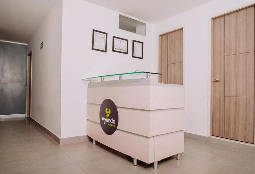 هتل Ayenda 1610 Las Palmeras