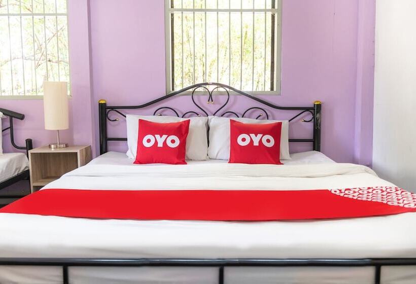 호텔 Oyo Old Town Boutique Hostel