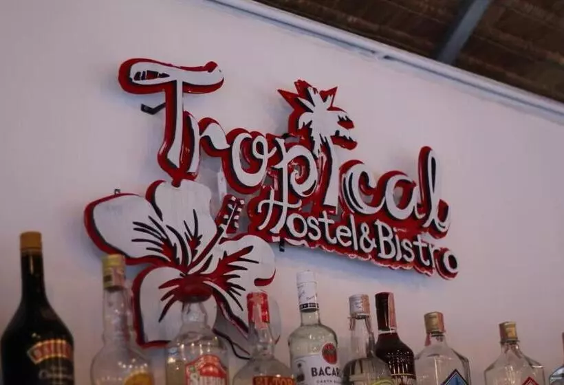 Tropical Hostel