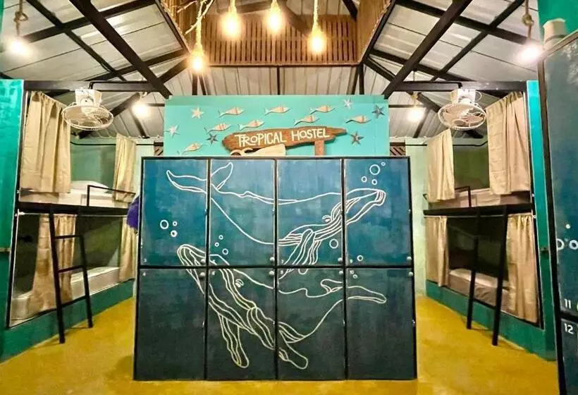 Tropical Hostel