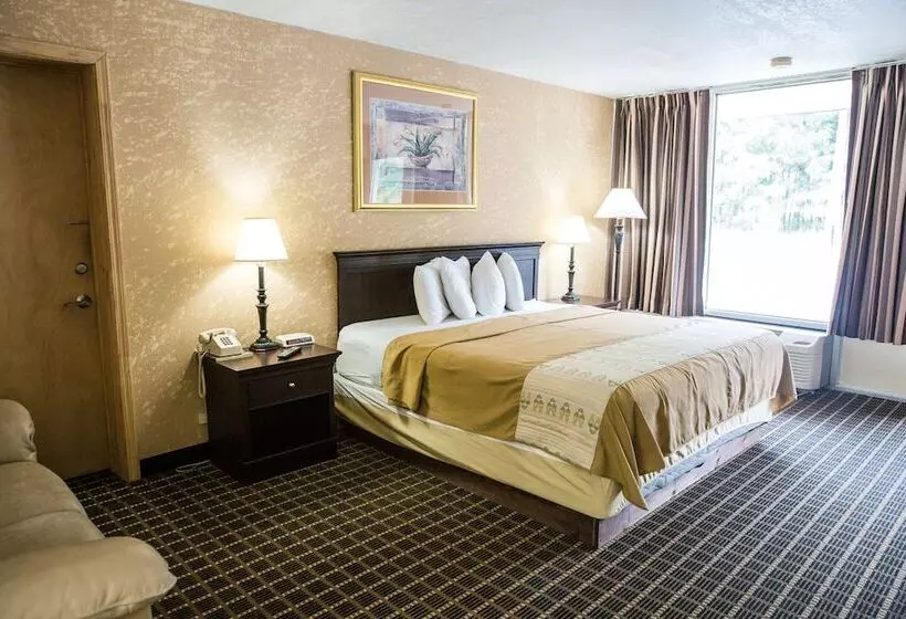 酒店 Florence Express Inn