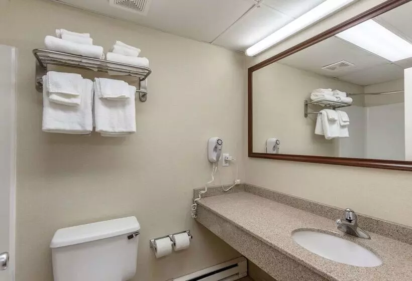 酒店 Quality Inn Ocean City Beachfront