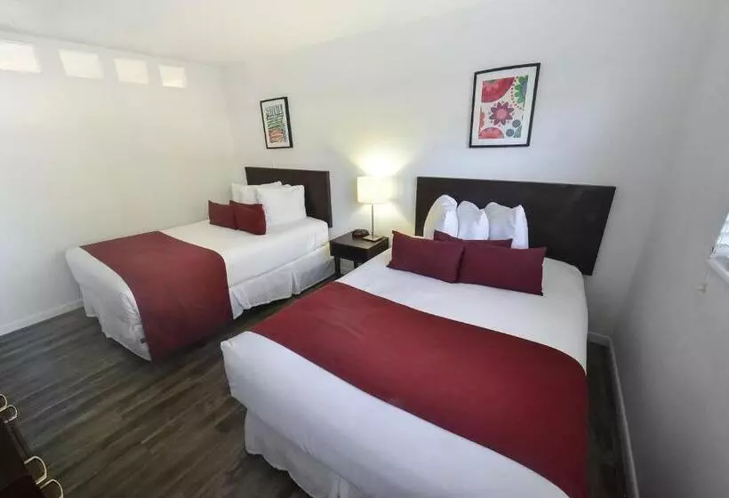 فندق Regency Inn & Suites Sarasota