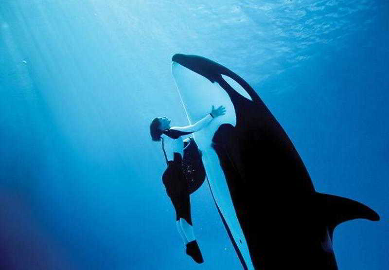 Отель Residence Inn By Marriott San Antonio Airport/alamo Heights