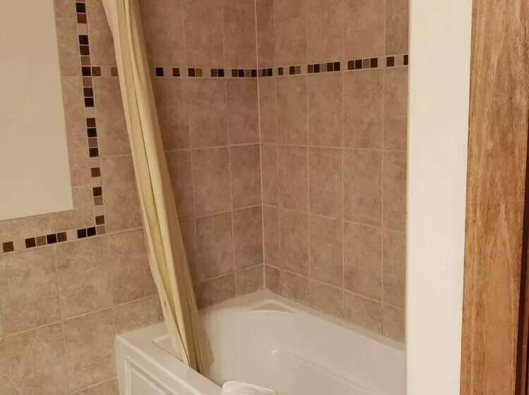 هتل Rib Mountain Inn