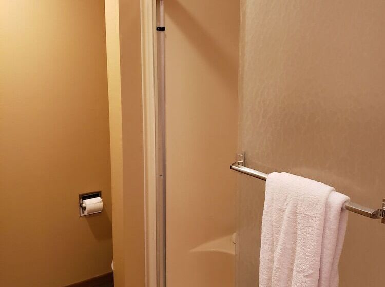 فندق Rib Mountain Inn