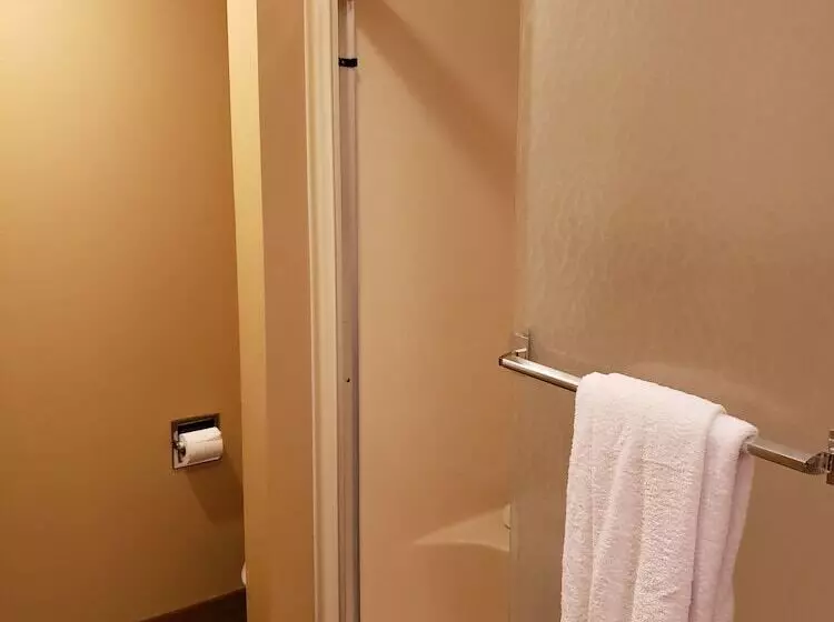 هتل Rib Mountain Inn