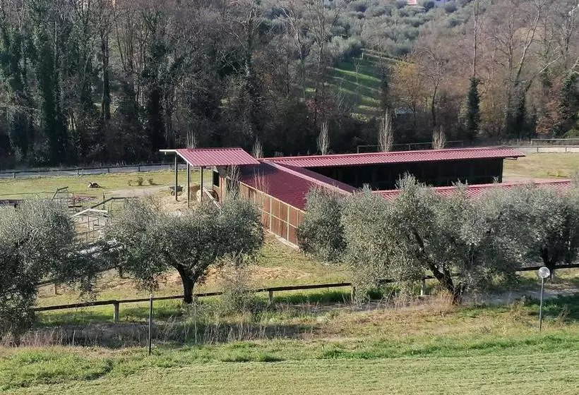 ホテル Le Vecchie Scuderie