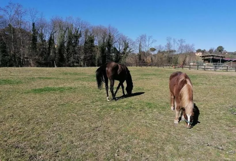 ホテル Le Vecchie Scuderie