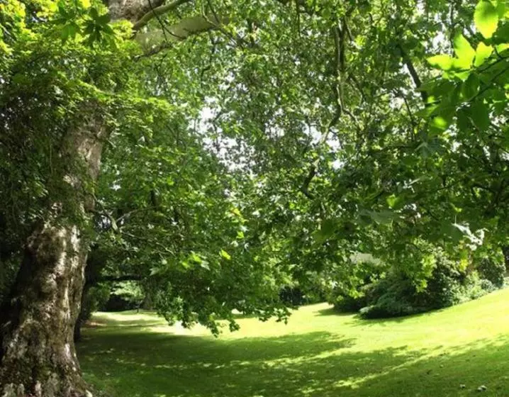 Aamiaismajoitus (B&B) Logis Du Parc