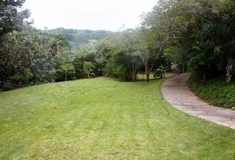 ペンション Dieu Donnee River Lodge