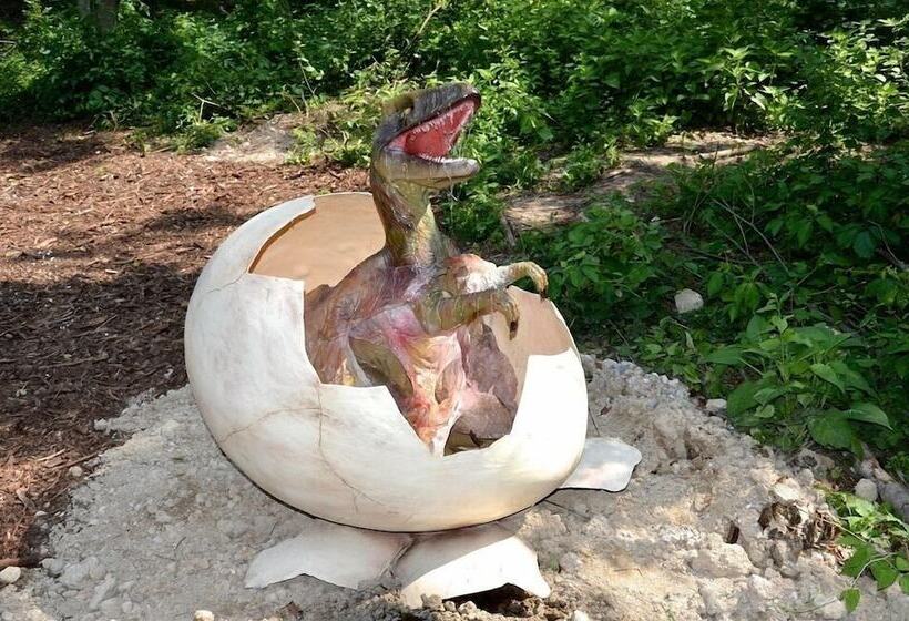 پانسیون Tourist House Capricorn