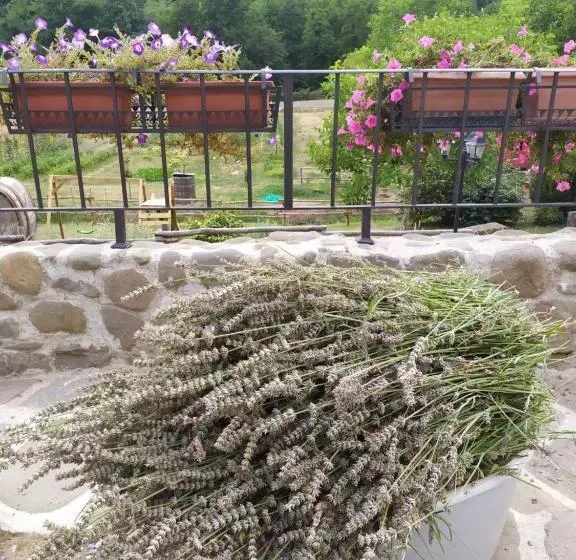 هتل Il Mulino Di Celle