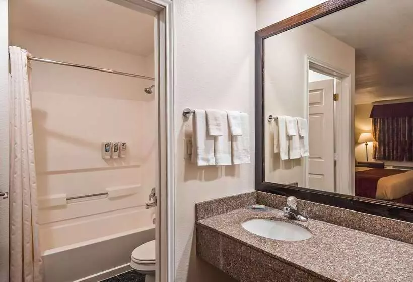 فندق Best Western Johnson City Inn