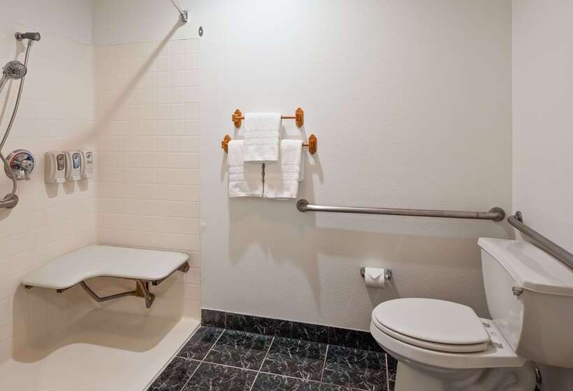 Отель Best Western Johnson City Inn