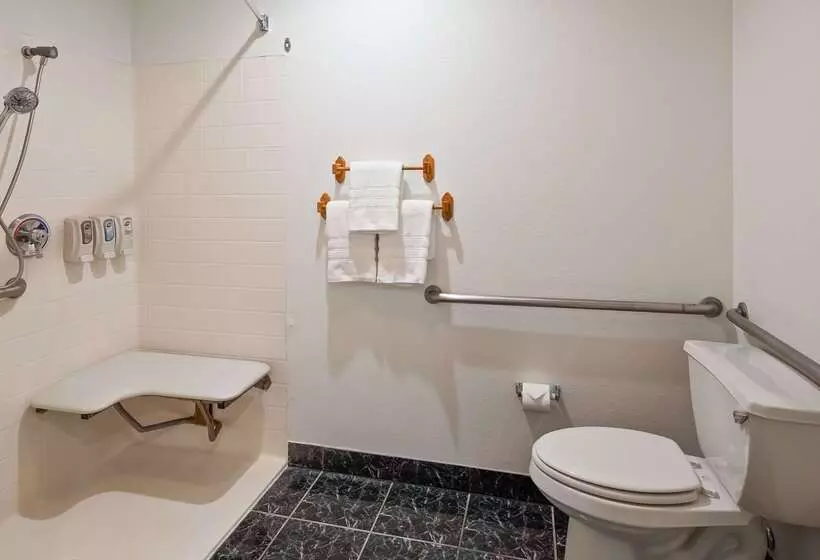 فندق Best Western Johnson City Inn