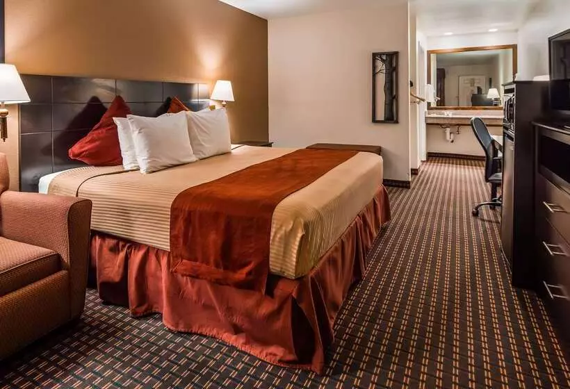 فندق Best Western Johnson City Inn