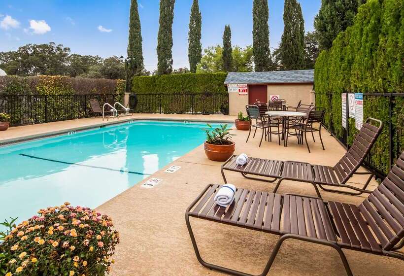 Отель Best Western Johnson City Inn