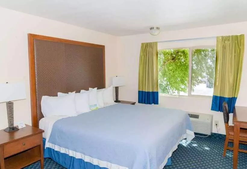 בית מלון כפרי Days Inn By Wyndham Lake Havasu
