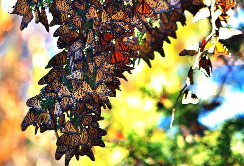Sandcastle Hotel On The Beach