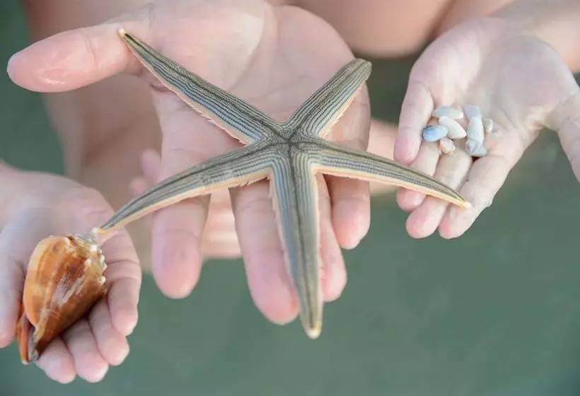 Hotelli Sanibel Siesta