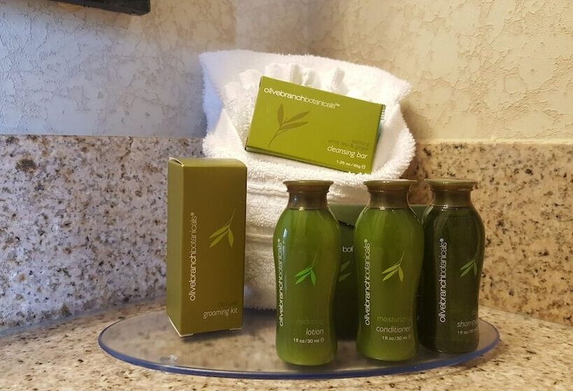 فندق Senate Luxury Suites