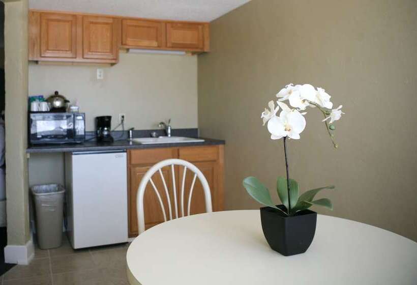 فندق Senate Luxury Suites