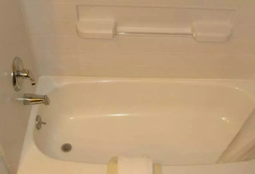 فندق Shanico Inn