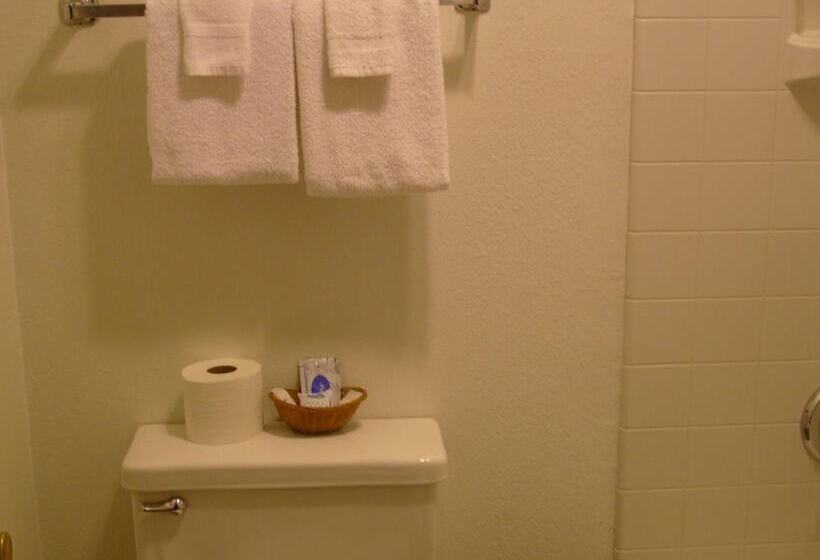 فندق Shanico Inn