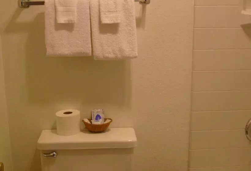 فندق Shanico Inn