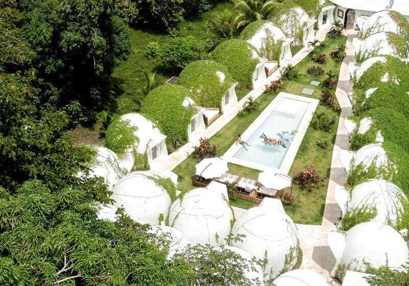 هتل Igloo Beach Lodge