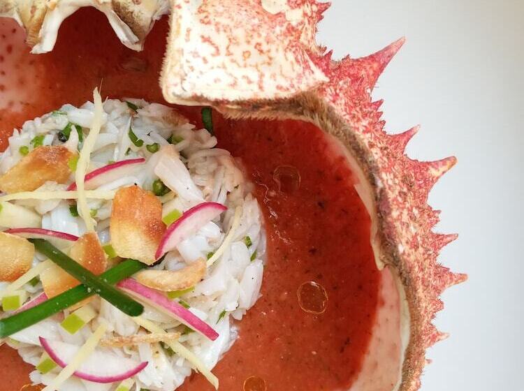 هتل La Brillante Marrakech