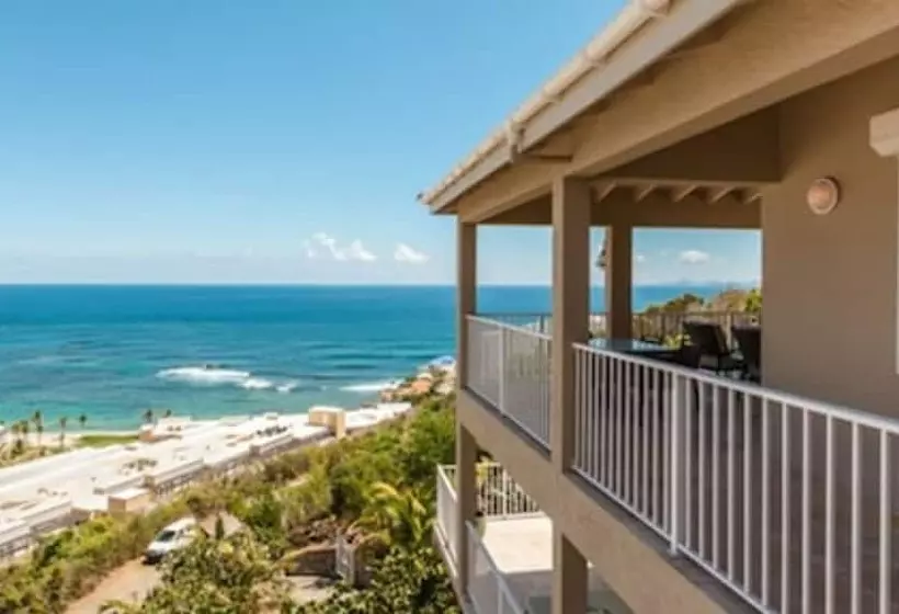 Bougainvillea By Island Properties Online