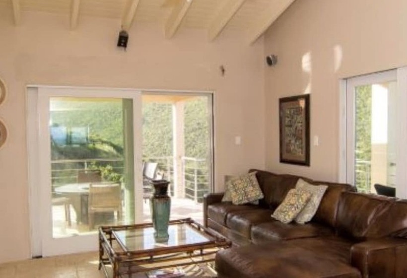 Bougainvillea By Island Properties Online