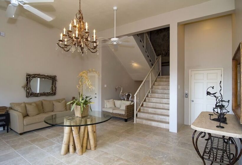 Bougainvillea By Island Properties Online