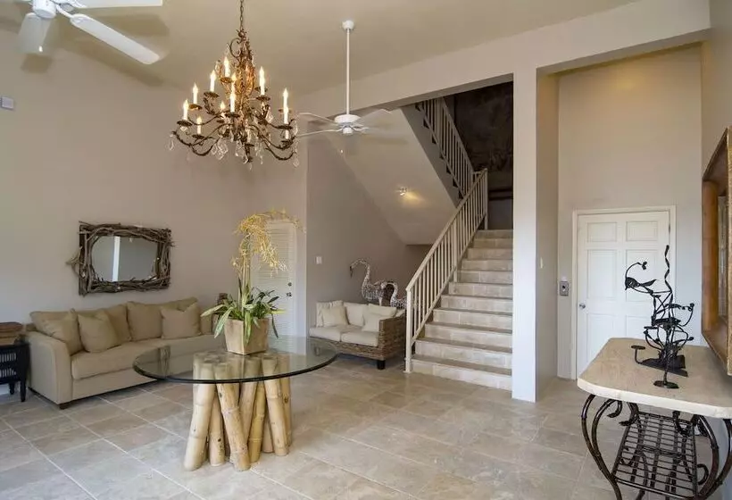 Bougainvillea By Island Properties Online