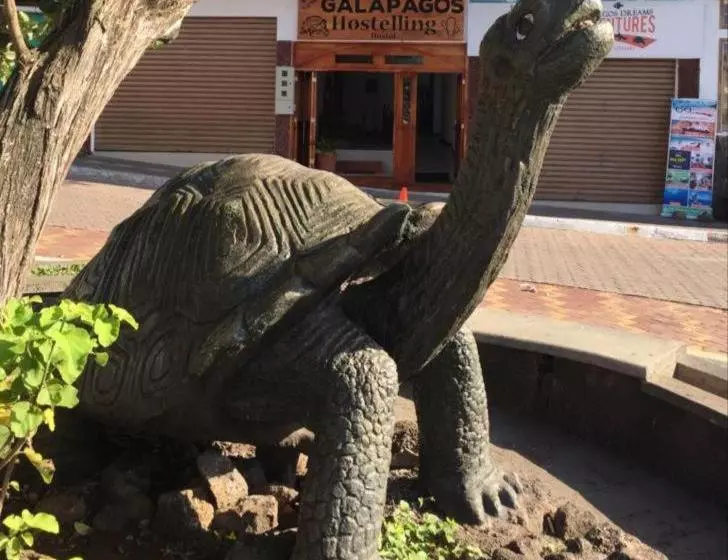 Hotelli New Galapagos Hostelling