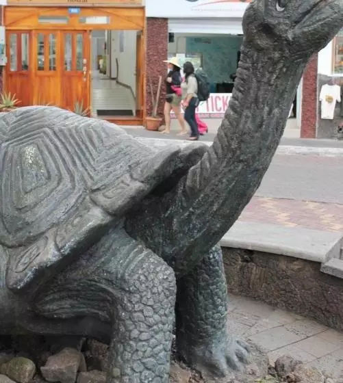 Hotelli New Galapagos Hostelling