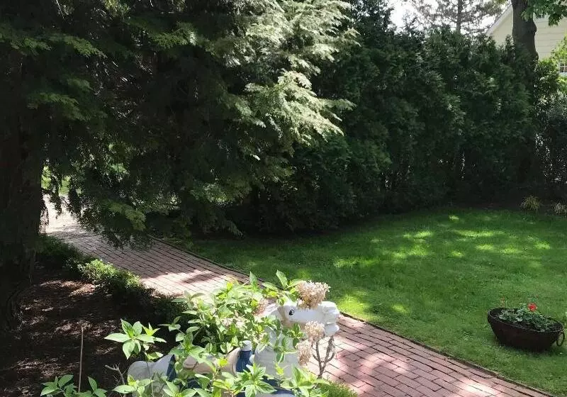 Aamiaismajoitus (B&B) Harpoon House