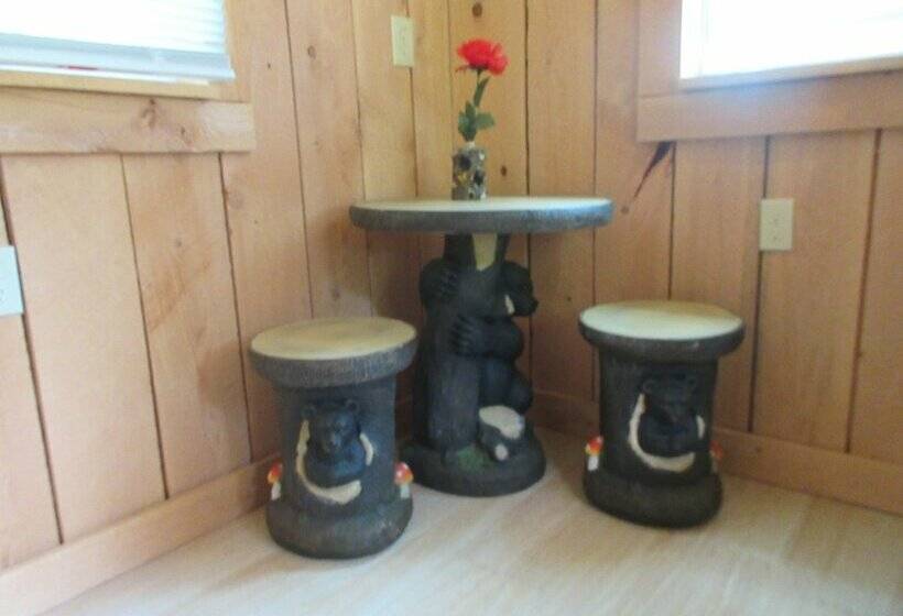 Cabin & Motel Rentals