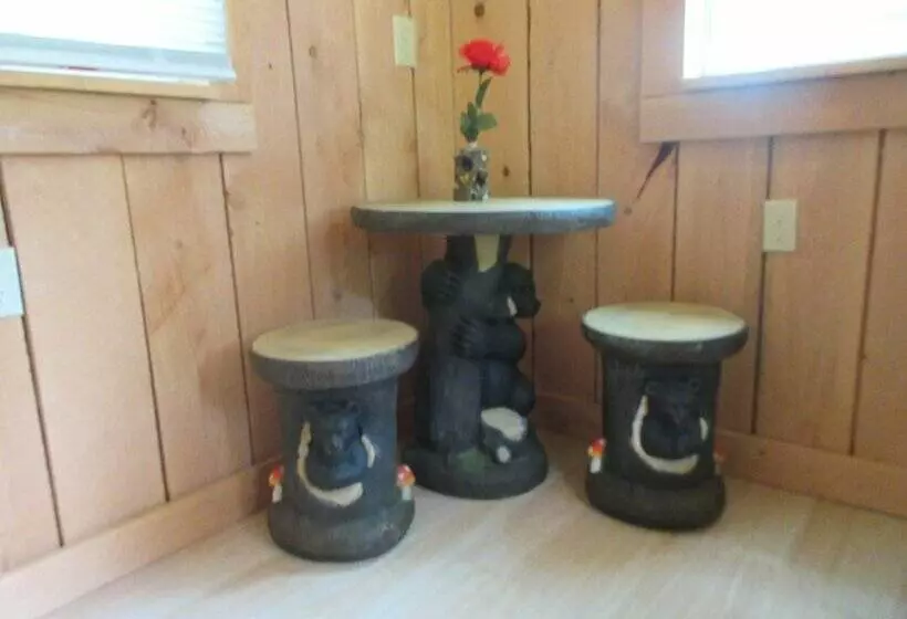 Cabin & Motel Rentals