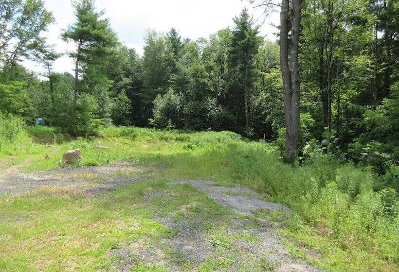 Cabin & Motel Rentals