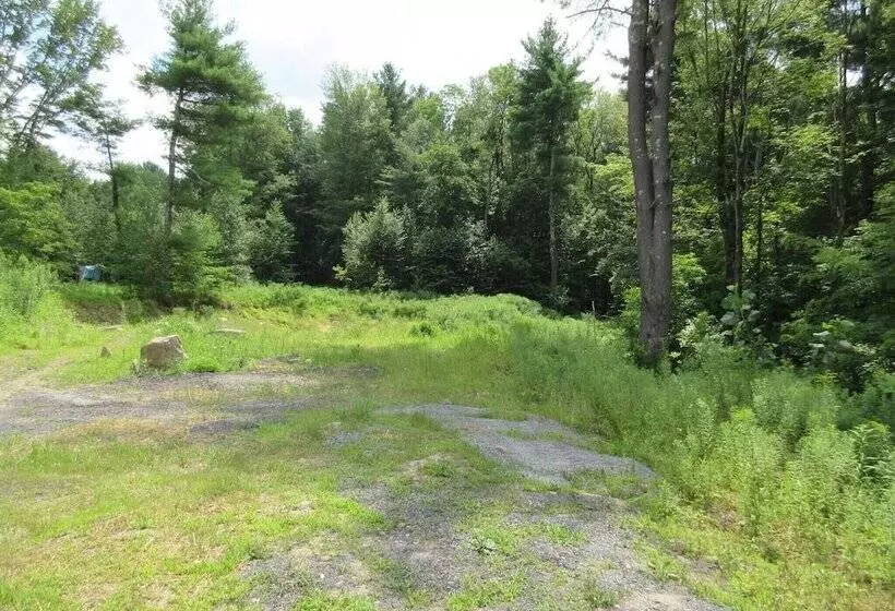 Cabin & Motel Rentals